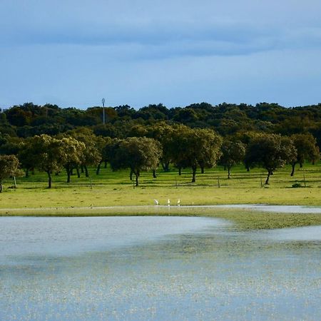 Cerro Cincho Rural Apartman Peraleda de la Mata Kültér fotó