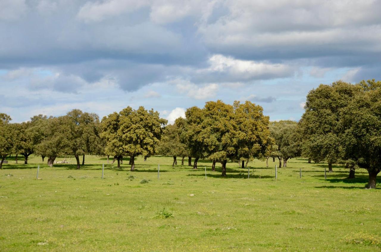 Cerro Cincho Rural Apartman Peraleda de la Mata Kültér fotó